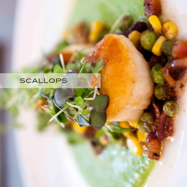 Seared scallops on a bed of green sauce, garnished with microgreens, corn, and peas.
